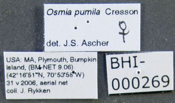 Media type: image;   Entomology 610965 Aspect: labels
